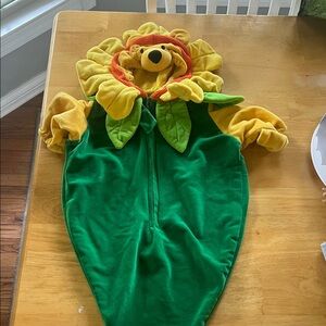 Disney Sunflower Costume - Green and Yellow